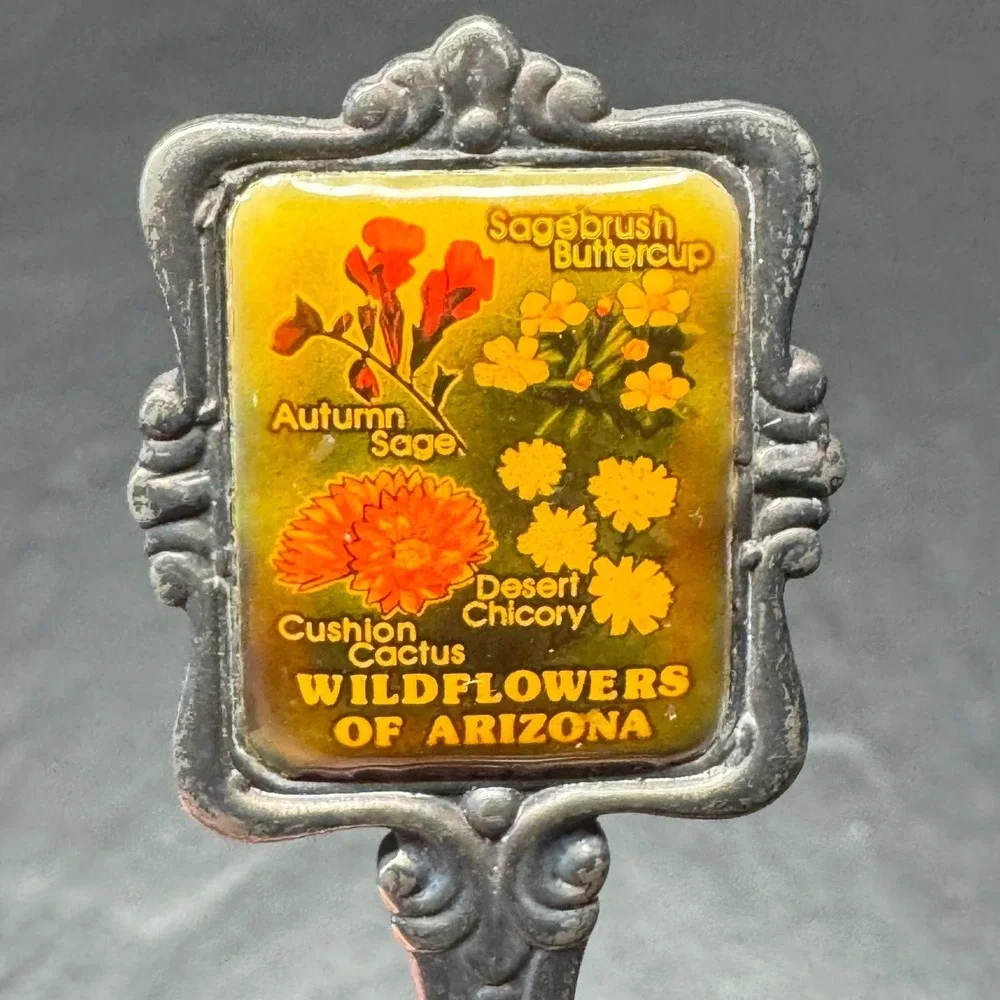 Vintage Perfection‎ Galaxy Wildflowers of Arizona Souvenir Spoon Silver Plated